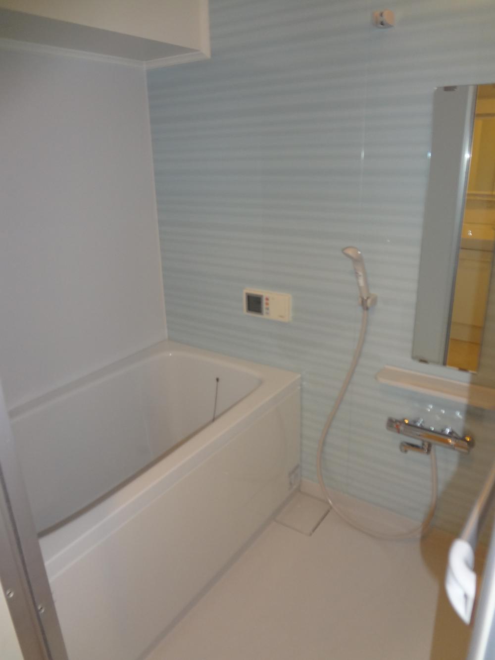 Bathroom. unit bus 2013 October exchange