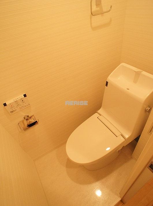 Toilet. Washlet toilet