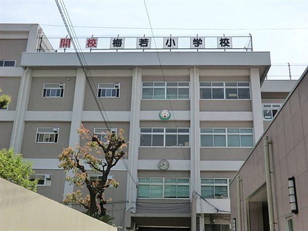 Primary school. 523m to Sumida Ward Umewaka Elementary School