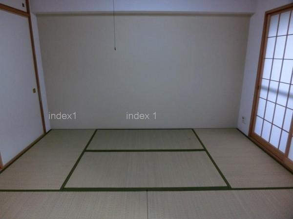 Non-living room. A clean Japanese-style room is equipped with a closet