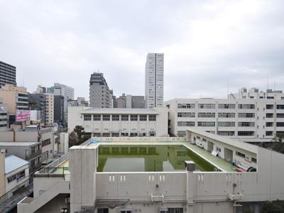 Sumida-ku, Tokyo Koto Bridge 1