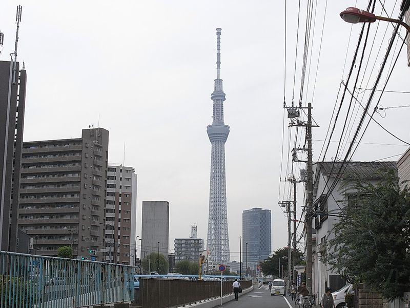 Other. Sky tree looks.