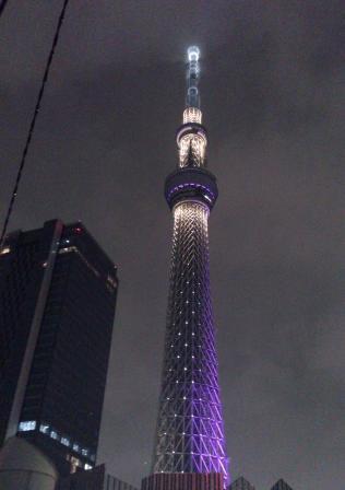 Other. Sky Tree is also within walking distance. 