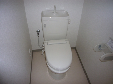 Toilet