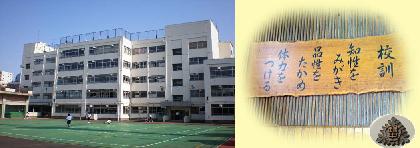 Junior high school. Tinsel 995m until junior high school (junior high school)