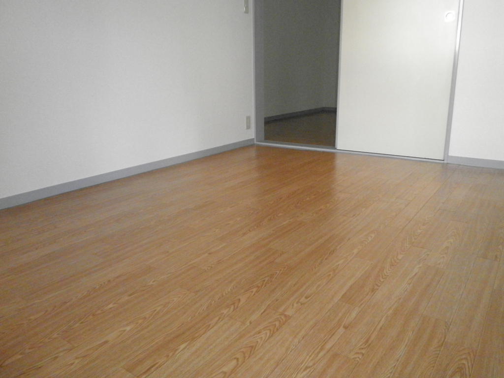 Other room space. Western style room