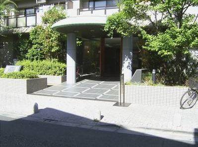 Entrance. Bright entrance