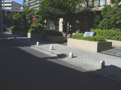 Entrance. Bright entrance