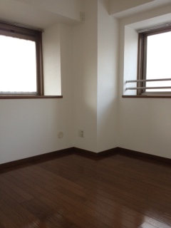 Living and room. Entrance side Western-style
