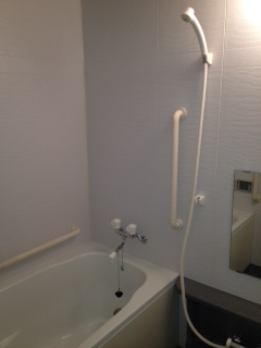 Bath. Chase fired function with bathroom