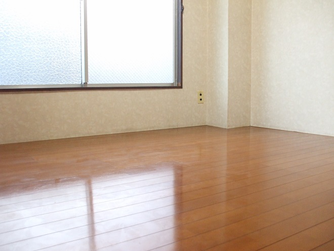 Living and room. Living