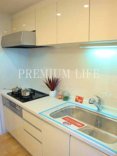 Kitchen. Wide system Kitchen