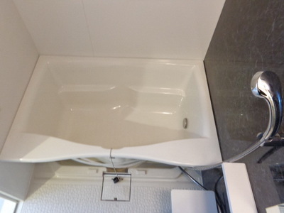 Bath. With reheating function