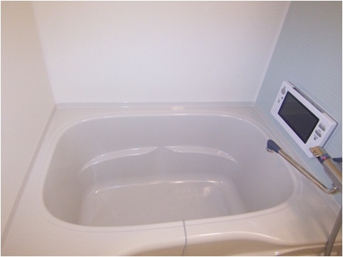 Bath. TV mist sauna