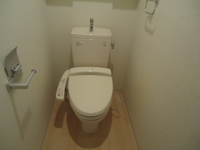 Toilet. * It is a photograph of the 301 in Room.