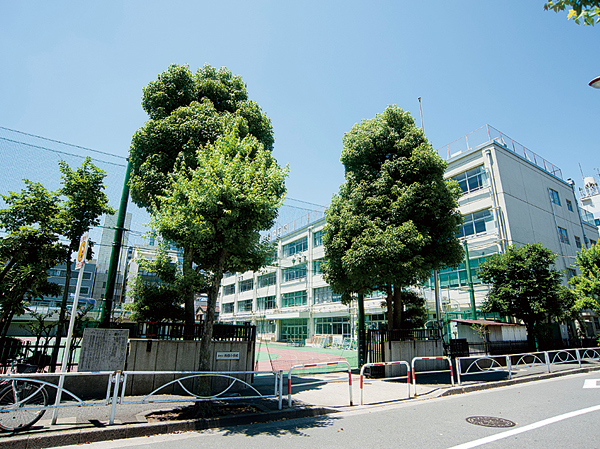Surrounding environment. Ward both countries elementary school (a 3-minute walk / About 170m)