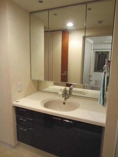 Wash basin, toilet. Bathroom vanity