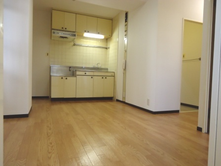 Other room space. Living-dining and spacious