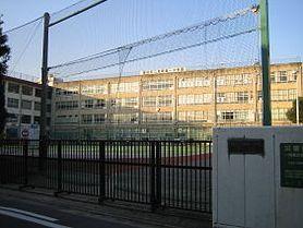 Junior high school. 481m to Sumida Ward Tachibana Junior High School