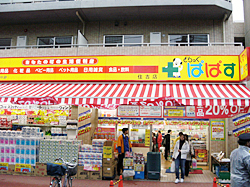 Dorakkusutoa. Drag Papas Sumiyoshi shop 380m until (drugstore)