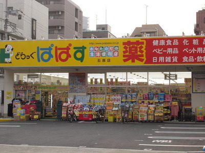 Dorakkusutoa. Drag Papas Ishihara shop 101m until (drugstore)