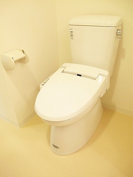 Toilet. Warm water washing toilet seat