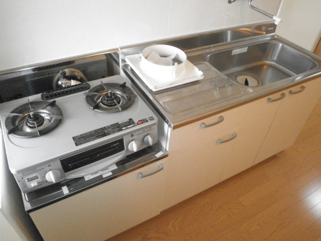 Kitchen. Gas stove 2-neck with grill