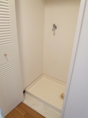 Other. Washing machine in the room
