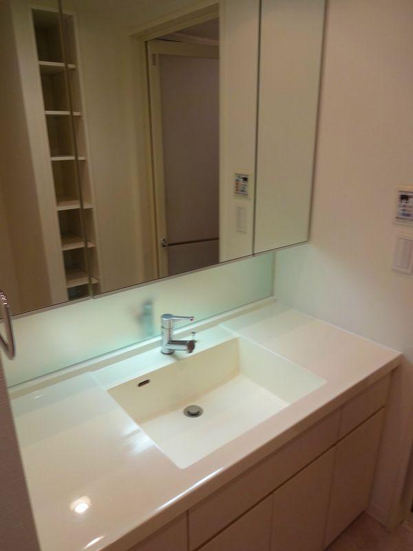 Wash basin, toilet. Bathroom vanity