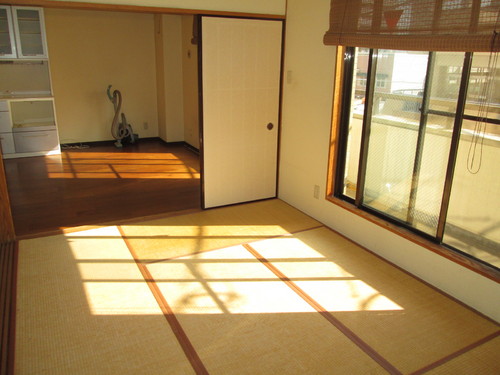 Other room space. Japanese-style room (interior ago)