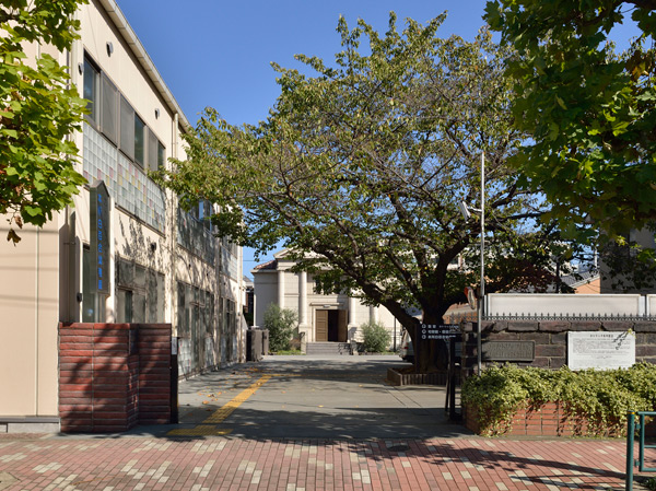 Surrounding environment. Honjo white lily kindergarten (about 680m ・ A 9-minute walk)
