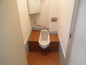 Toilet. Hiroshi toilet bowl can be changed