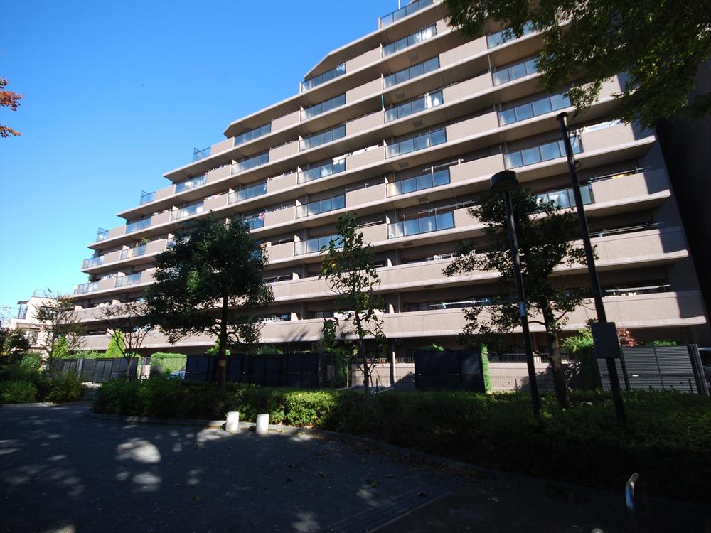 Local appearance photo. 2013 November shooting