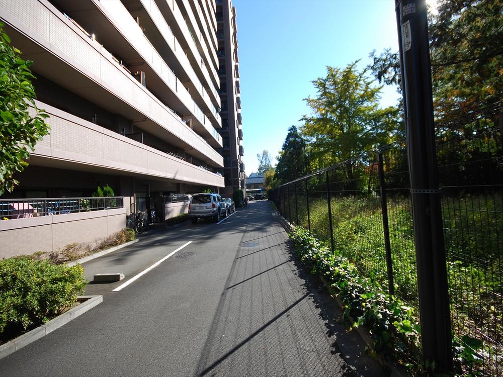 Local appearance photo. 2013 November shooting