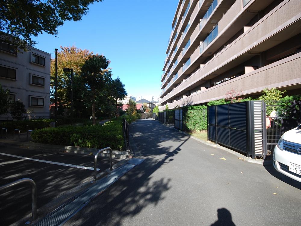 Local appearance photo. 2013 November shooting