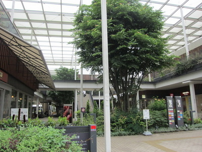 Shopping centre. Zelkova 560m until the mall (shopping center)