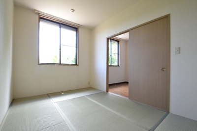 Other room space. Japanese style room