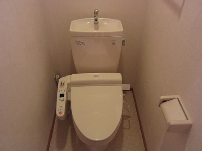 Toilet. Happy Washlet