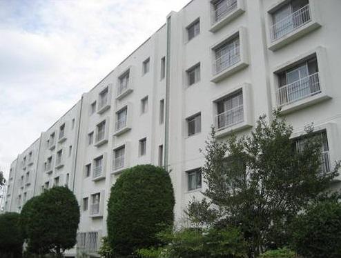 Local appearance photo. Local (August 2013) Shooting