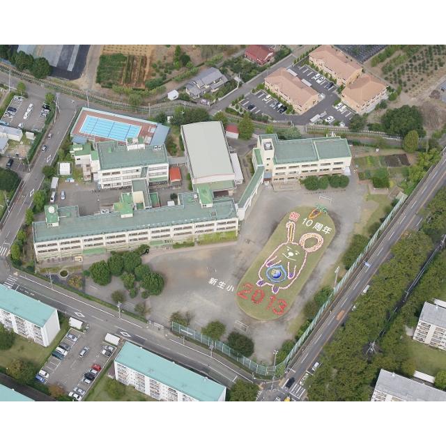 Primary school. 257m to Tachikawa Municipal Shinsei Elementary School