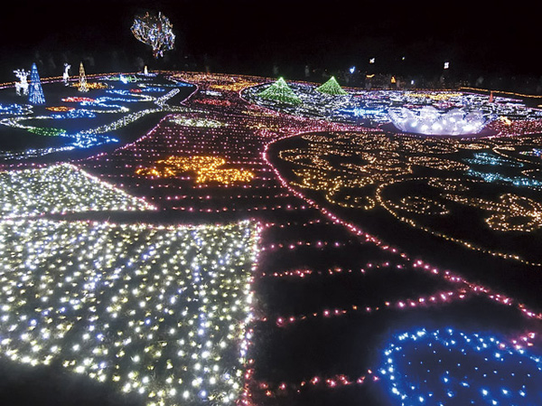 Surrounding environment. Showa Memorial Park ・ Christmas illumination