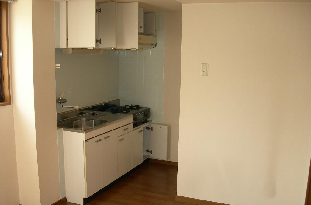 Kitchen. 2-neck is a gas stove