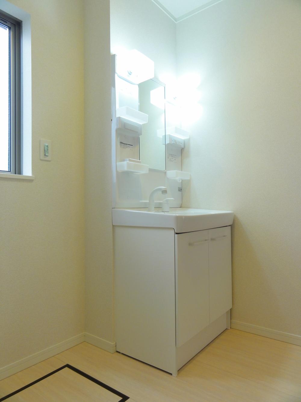 Wash basin, toilet. Vanity shower