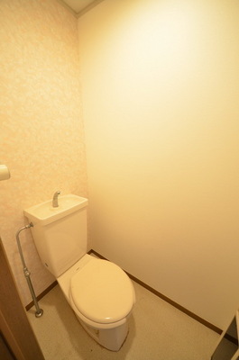 Toilet.  ☆ Clean toilet ☆