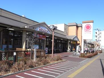 Supermarket. Daimarupikokku Tamagawa 376m to the store (Super)