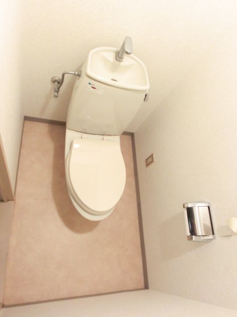 Toilet. Toilet