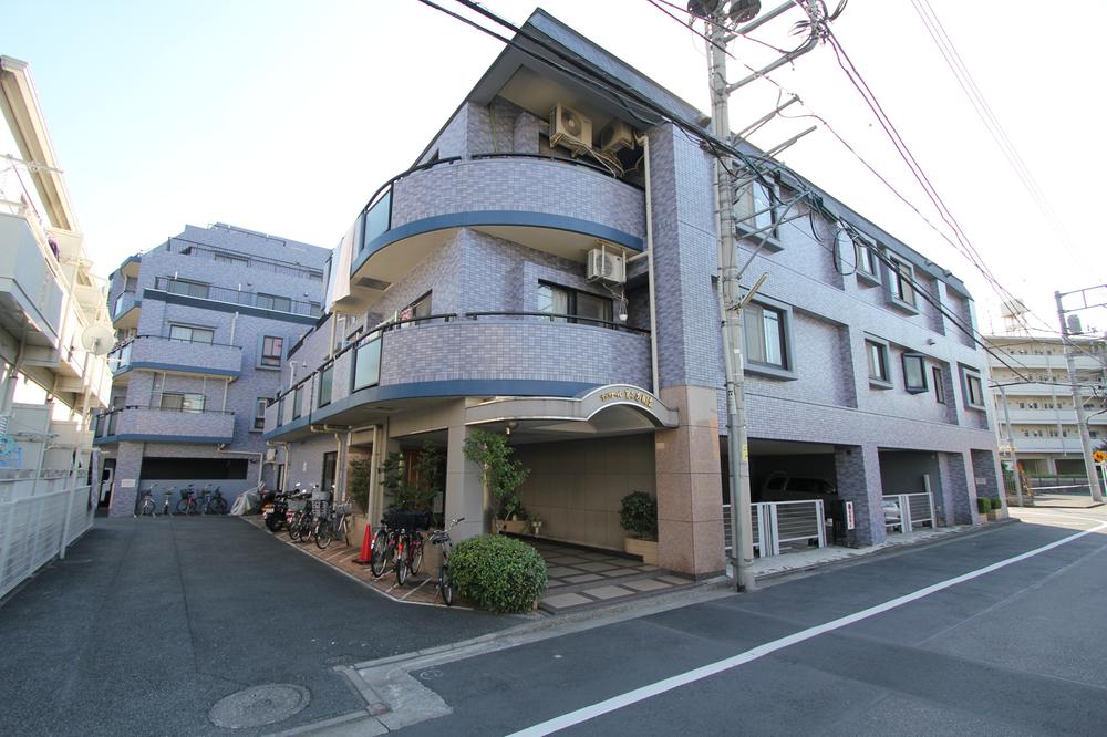 Local appearance photo. Local (September 2013) Shooting