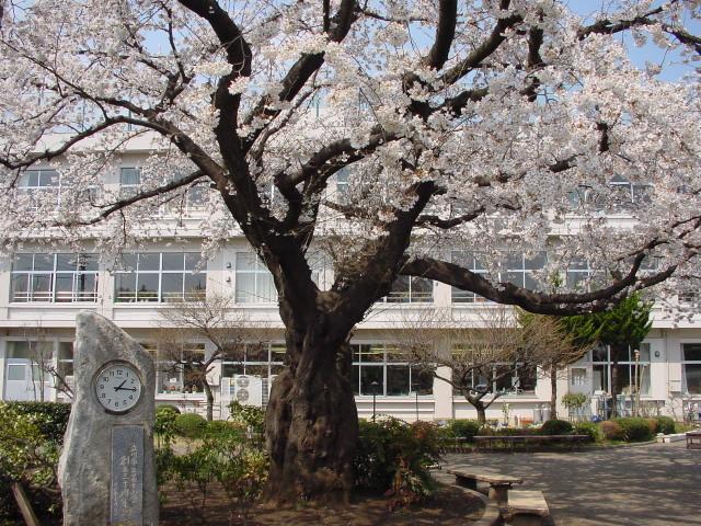 Primary school. 439m to Tachikawa Municipal ninth elementary school