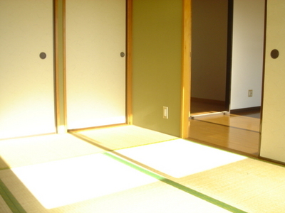 Living and room. Bright Japanese-style room