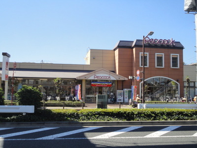 Supermarket. Daimarupikokku 100m until the (super)